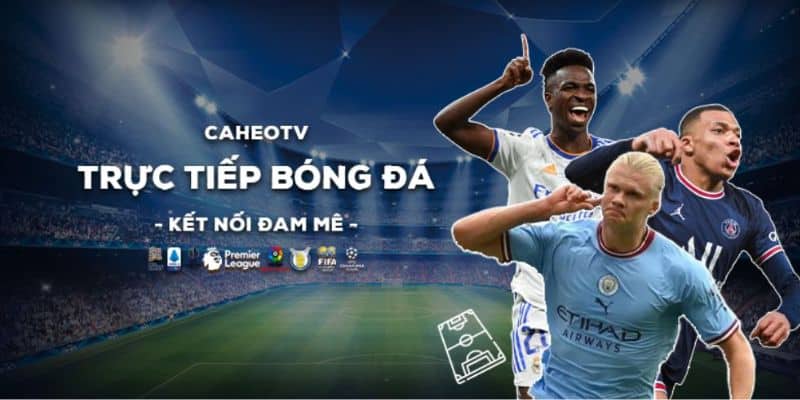 Các kênh liên hệ chính thức