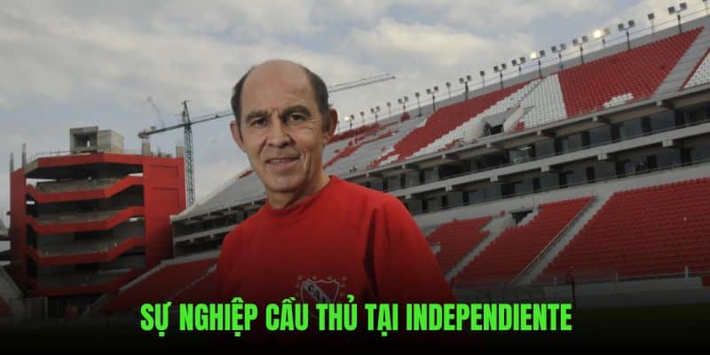 Sự nghiệp được Về Bờ TV giới thiệu từ A đến Z