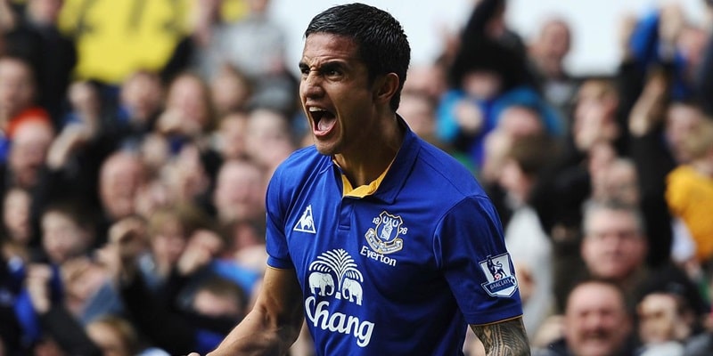 Sự nghiệp thi đấu của Cahill được biết đến nhiều nhất dưới màu áo Everton