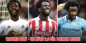 Wilfried Bony